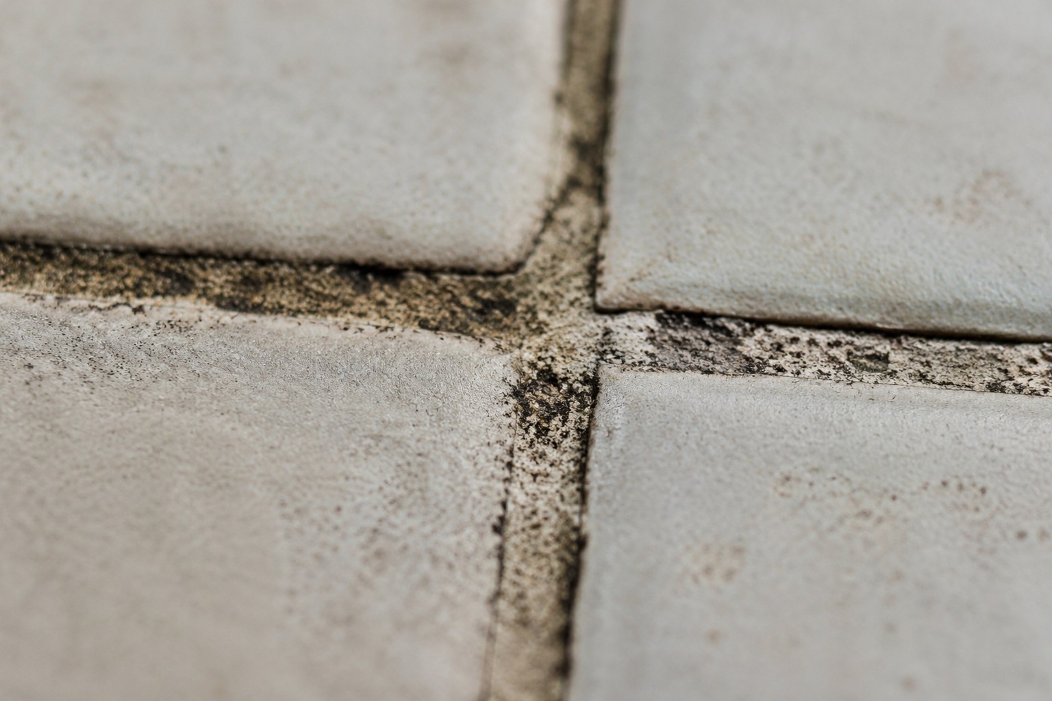 Illustration pédagogique : joint ciment en zone humide, noirci par la moisissure jusque dans le croisement des carreaux. Image de principe, pas un chantier des équipes partenaires.